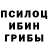 Галлюциногенные грибы мицелий Noe Socks