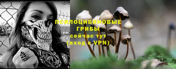 прущая мука Верея