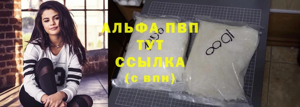 индика Краснотурьинск