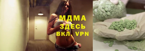 индика Краснотурьинск
