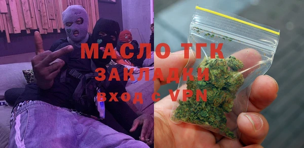 индика Краснотурьинск
