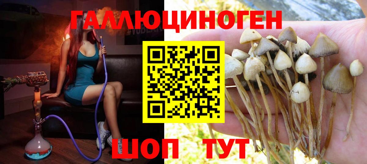 Воткинск  Псилоцибиновые грибы MAGIC MUSHROOMS  Вход с VPN  Галлюциногенные грибы прущие грибы 