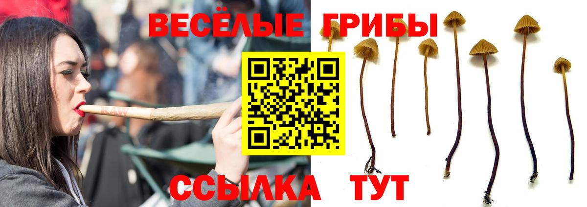 Диски  Гарик  Воткинск  ГАШ  КОКАИН  Вход с VPN  Меф  Конопля 