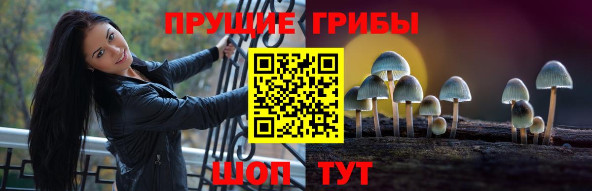 Псилоцибиновые грибы прущие грибы Воткинск
